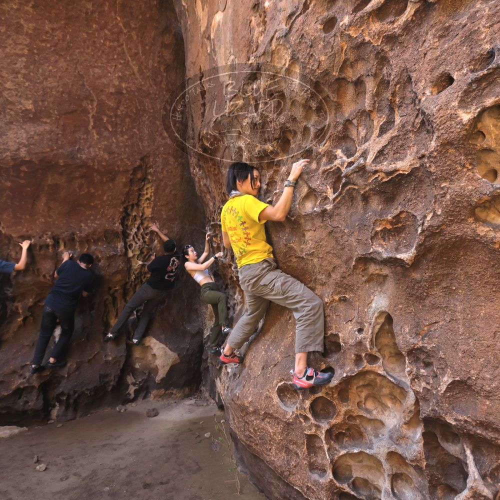 

Filename: SRM_20260329_1214170.jpg
Aperture: f/5.6
Shutter Speed: 1/160
Body: Canon EOS R6
Lens: Canon EF 16-35mm f/2.8 L