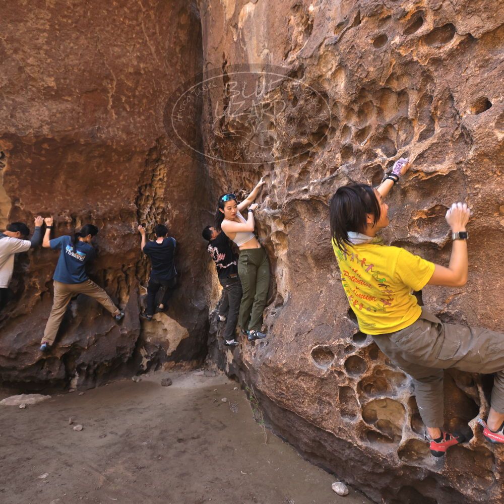 

Filename: SRM_20260329_1214290.jpg
Aperture: f/5.6
Shutter Speed: 1/160
Body: Canon EOS R6
Lens: Canon EF 16-35mm f/2.8 L