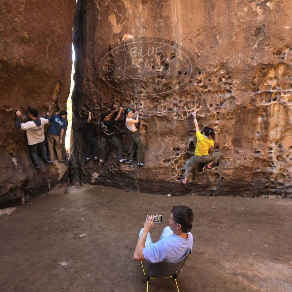 

Filename: SRM_20260329_1214490.jpg
Aperture: f/5.6
Shutter Speed: 1/160
Body: Canon EOS R6
Lens: Canon EF 16-35mm f/2.8 L