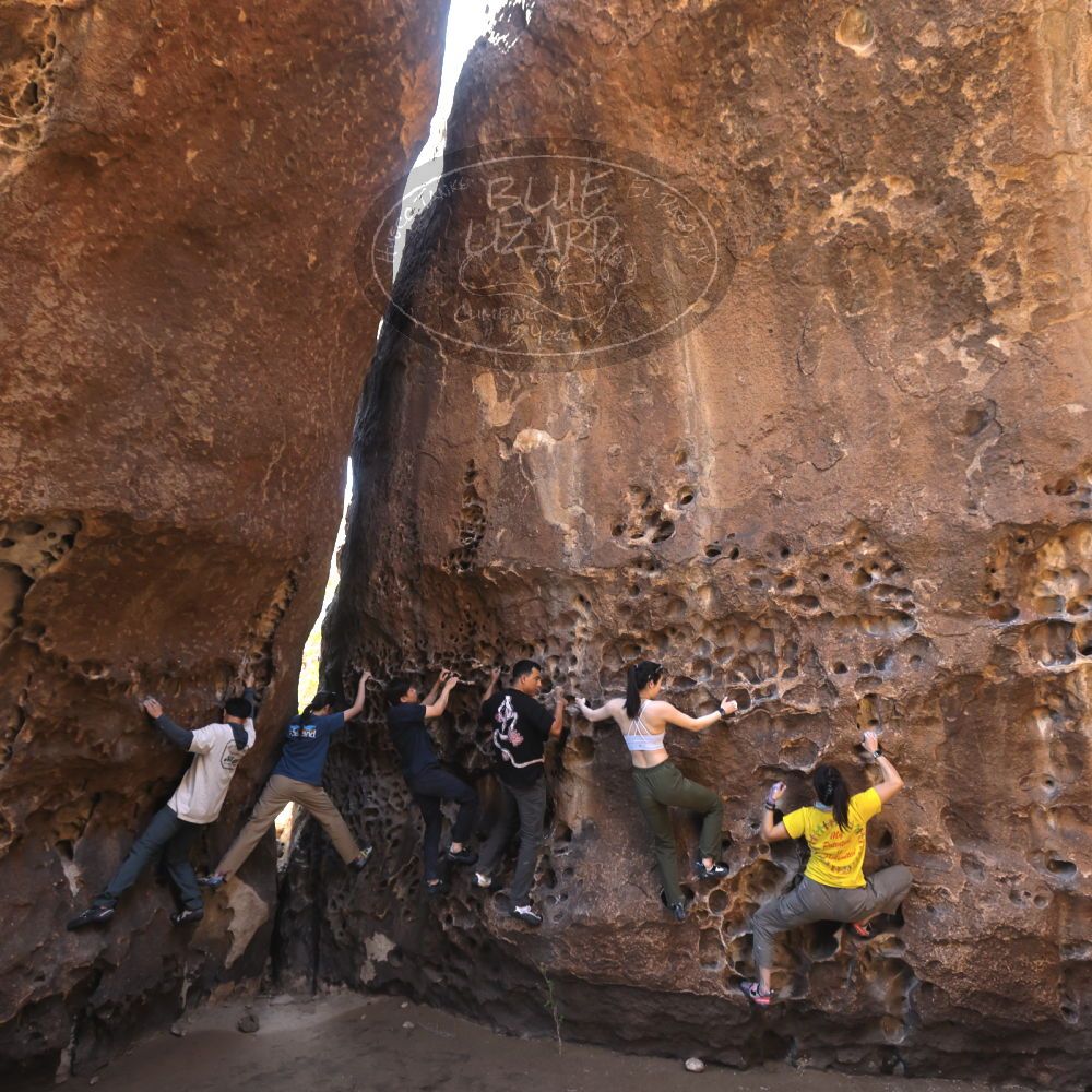 

Filename: SRM_20260329_1215030.jpg
Aperture: f/5.6
Shutter Speed: 1/160
Body: Canon EOS R6
Lens: Canon EF 16-35mm f/2.8 L