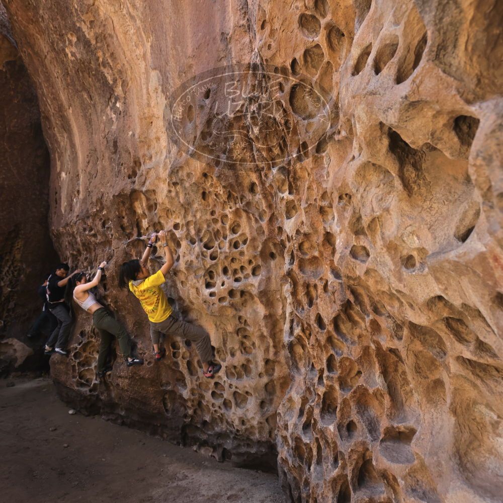 

Filename: SRM_20260329_1215270.jpg
Aperture: f/5.6
Shutter Speed: 1/160
Body: Canon EOS R6
Lens: Canon EF 16-35mm f/2.8 L