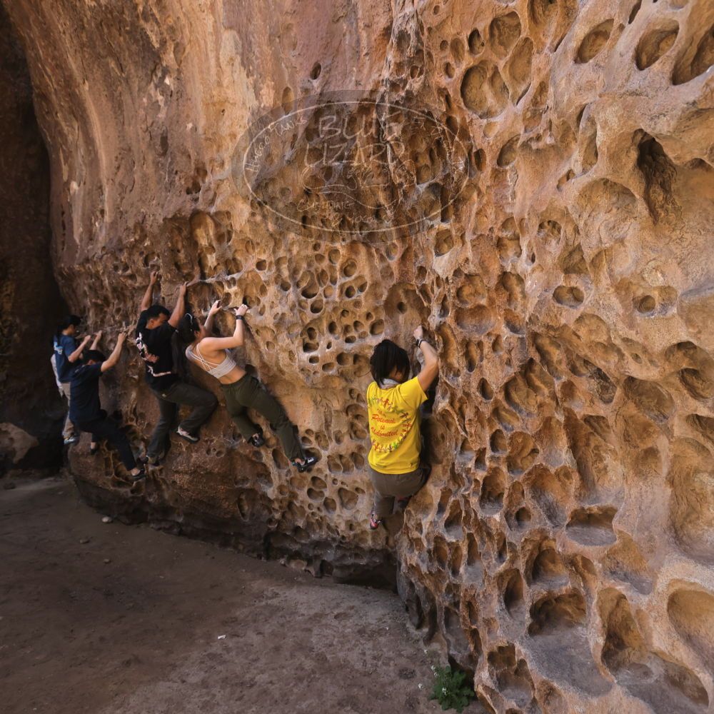 

Filename: SRM_20260329_1215470.jpg
Aperture: f/5.6
Shutter Speed: 1/160
Body: Canon EOS R6
Lens: Canon EF 16-35mm f/2.8 L