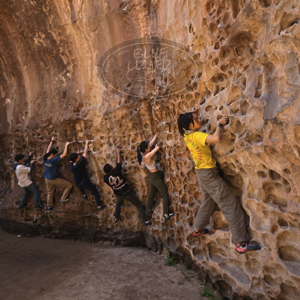 Filename: SRM_20260329_1216340.jpg
Aperture: f/5.6
Shutter Speed: 1/160
Body: Canon EOS R6
Lens: Canon EF 16-35mm f/2.8 L