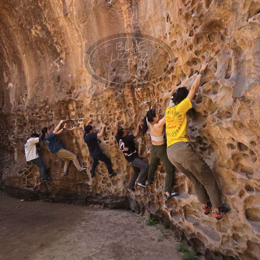 

Filename: SRM_20260329_1216430.jpg
Aperture: f/5.6
Shutter Speed: 1/160
Body: Canon EOS R6
Lens: Canon EF 16-35mm f/2.8 L