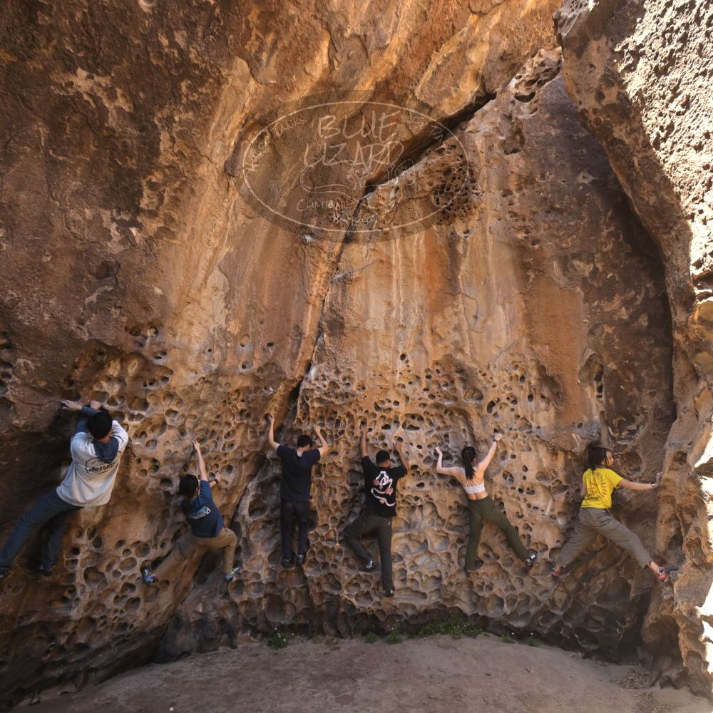 

Filename: SRM_20260329_1217110.jpg
Aperture: f/5.6
Shutter Speed: 1/160
Body: Canon EOS R6
Lens: Canon EF 16-35mm f/2.8 L