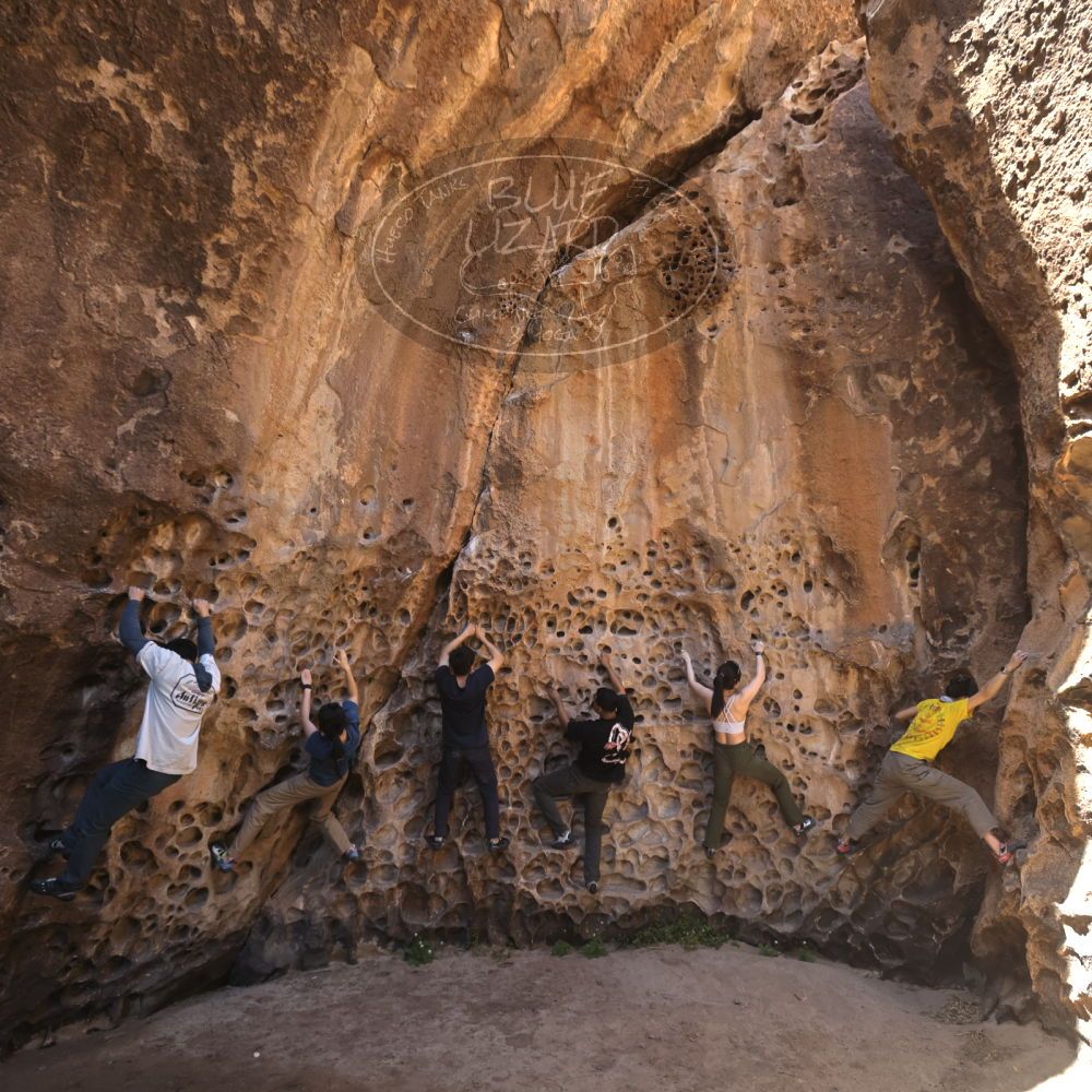 

Filename: SRM_20260329_1217130.jpg
Aperture: f/5.6
Shutter Speed: 1/160
Body: Canon EOS R6
Lens: Canon EF 16-35mm f/2.8 L