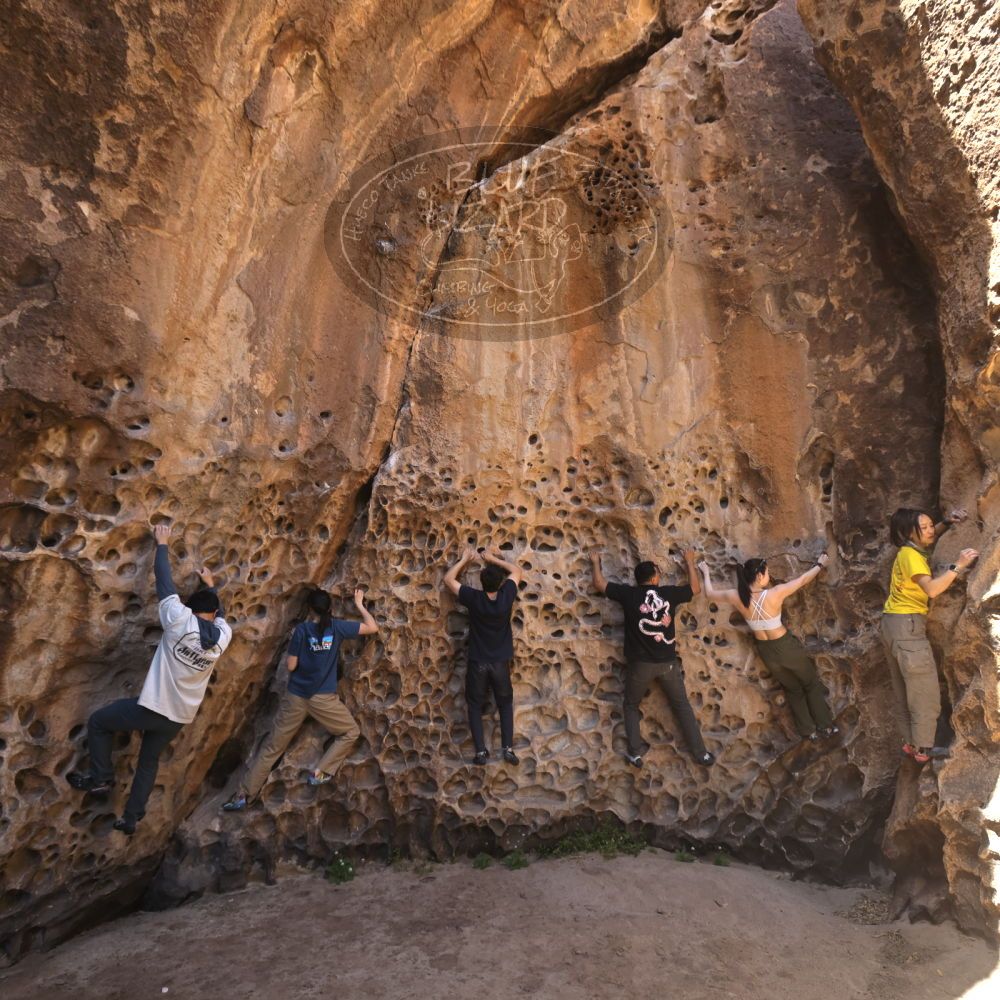 

Filename: SRM_20260329_1217330.jpg
Aperture: f/5.6
Shutter Speed: 1/160
Body: Canon EOS R6
Lens: Canon EF 16-35mm f/2.8 L