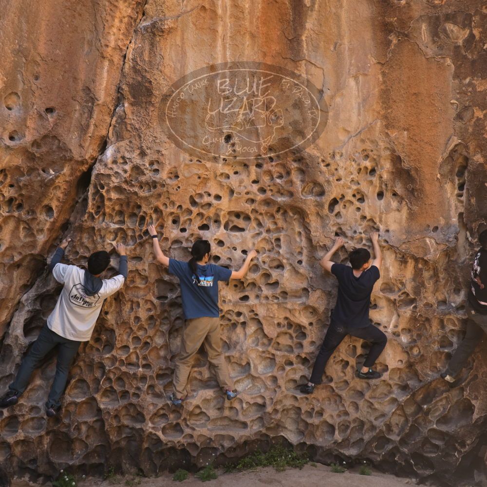 

Filename: SRM_20260329_1218030.jpg
Aperture: f/5.6
Shutter Speed: 1/160
Body: Canon EOS R6
Lens: Canon EF 16-35mm f/2.8 L