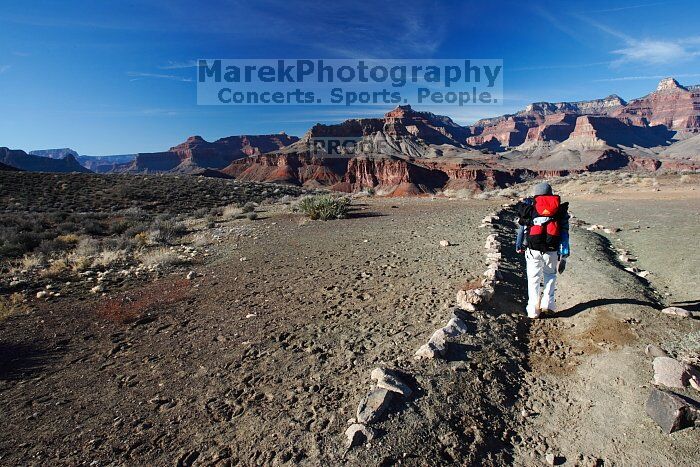 Beth Marek hiking down the South Kaibab trail, backpacking the Grand Canyon with Beth, Thursday, January 1, 2009.

Filename: SRM_20090101_15062269.jpg
Aperture: f/11.0
Shutter Speed: 1/60
Body: Canon EOS-1D Mark II
Lens: Canon EF 16-35mm f/2.8 L