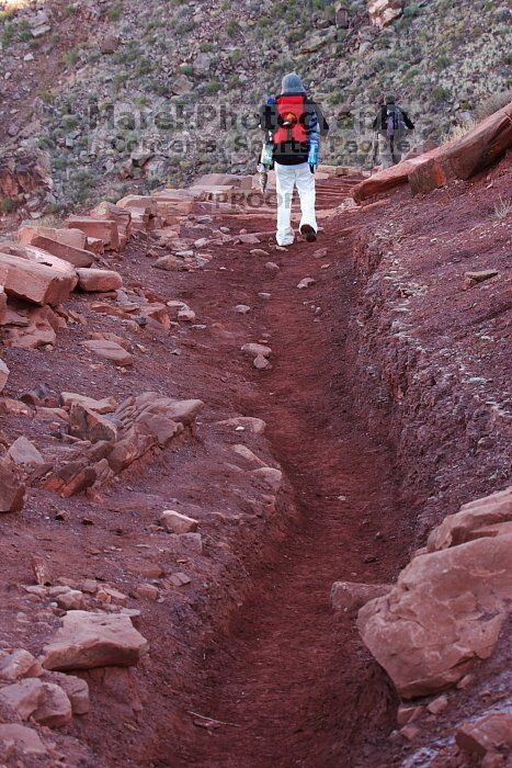Beth Marek hiking down the South Kaibab trail, backpacking the Grand Canyon with Beth, Thursday, January 1, 2009.

Filename: SRM_20090101_15413491.jpg
Aperture: f/11.0
Shutter Speed: 1/50
Body: Canon EOS-1D Mark II
Lens: Canon EF 100-400mm f/4.5-5.6 L IS USM