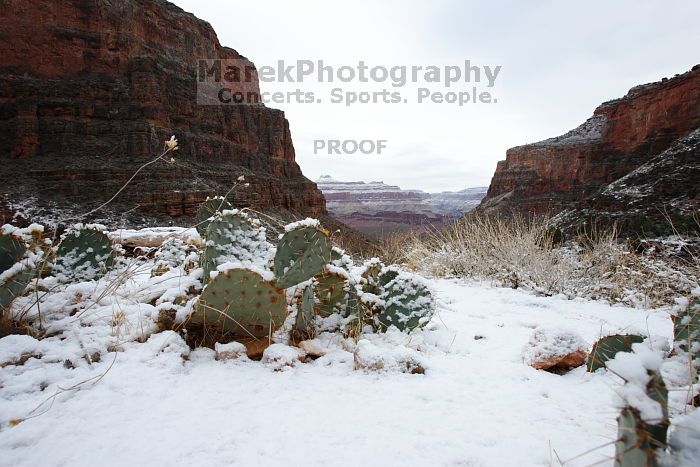 Hike up the Bright Angel trail from Indian Gardens campground, while backpacking the Grand Canyon, on Sunday, January 4, 2009.

Filename: SRM_20090104_09122170.JPG
Aperture: f/11.0
Shutter Speed: 1/15
Body: Canon EOS-1D Mark II
Lens: Canon EF 16-35mm f/2.8 L