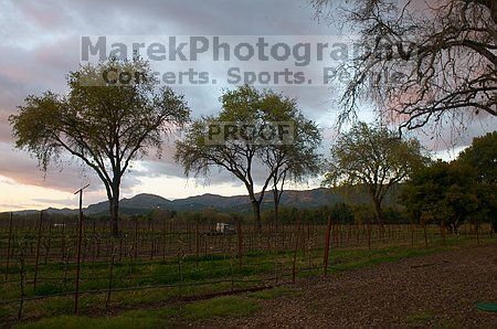 

Filename: CRW_8750.jpg
Aperture: f/22.0
Shutter Speed: 1/1
Body: Canon EOS DIGITAL REBEL
Lens: Canon EF-S 18-55mm f/3.5-5.6