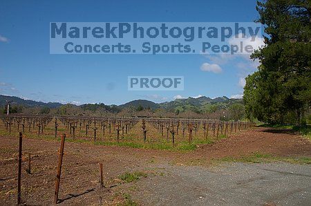 

Filename: CRW_8707.jpg
Aperture: f/22.0
Shutter Speed: 1/100
Body: Canon EOS DIGITAL REBEL
Lens: Canon EF-S 18-55mm f/3.5-5.6