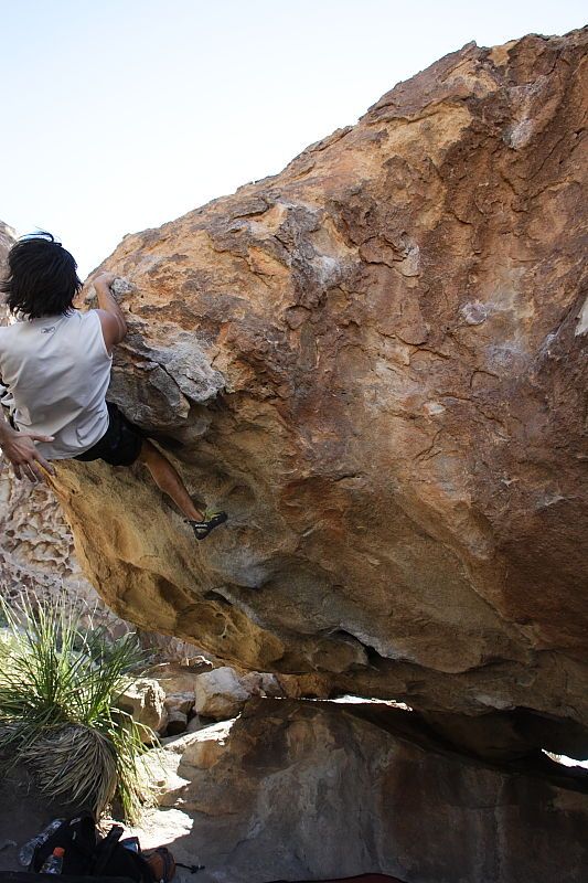 Javier Morales rock climbing on No One Gets Out of Here Alive (V2) in Hueco Tanks State Park and Historic Site during the Hueco Tanks Awesome Fest 2010 trip, Sunday, May 23, 2010.

Filename: SRM_20100523_11080197.JPG
Aperture: f/5.6
Shutter Speed: 1/500
Body: Canon EOS-1D Mark II
Lens: Canon EF 16-35mm f/2.8 L