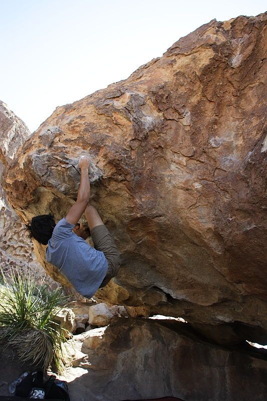 Cayce Wilson rock climbing on No One Gets Out of Here Alive (V2) in Hueco Tanks State Park and Historic Site during the Hueco Tanks Awesome Fest 2010 trip, Sunday, May 23, 2010.

Filename: SRM_20100523_11160553.JPG
Aperture: f/5.6
Shutter Speed: 1/500
Body: Canon EOS-1D Mark II
Lens: Canon EF 16-35mm f/2.8 L