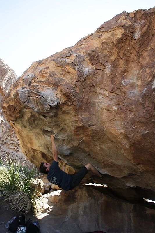 Raanan Robertson rock climbing on No One Gets Out of Here Alive (V2) in Hueco Tanks State Park and Historic Site during the Hueco Tanks Awesome Fest 2010 trip, Sunday, May 23, 2010.

Filename: SRM_20100523_11260517.JPG
Aperture: f/5.6
Shutter Speed: 1/500
Body: Canon EOS-1D Mark II
Lens: Canon EF 16-35mm f/2.8 L