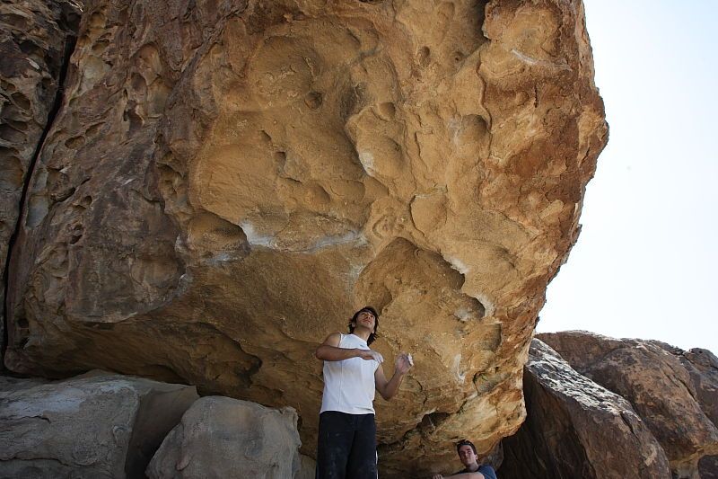 Javier Morales rock climbing in Hueco Tanks State Park and Historic Site during the Hueco Tanks Awesome Fest 2010 trip, Sunday, May 23, 2010.

Filename: SRM_20100523_11513463.JPG
Aperture: f/8.0
Shutter Speed: 1/500
Body: Canon EOS-1D Mark II
Lens: Canon EF 16-35mm f/2.8 L
