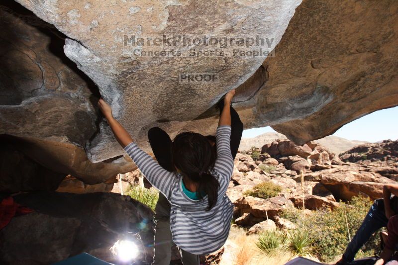Bouldering in Hueco Tanks on 03/19/2016 with Blue Lizard Climbing and Yoga

Filename: SRM_20160319_1341460.jpg
Aperture: f/8.0
Shutter Speed: 1/250
Body: Canon EOS 20D
Lens: Canon EF 16-35mm f/2.8 L