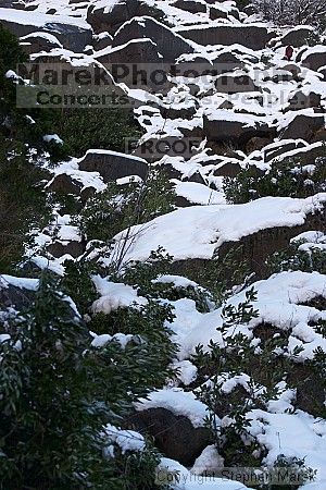 

Filename: crw_6410_std.jpg
Aperture: f/5.0
Shutter Speed: 1/320
Body: Canon EOS DIGITAL REBEL
Lens: Canon EF 80-200mm f/2.8 L