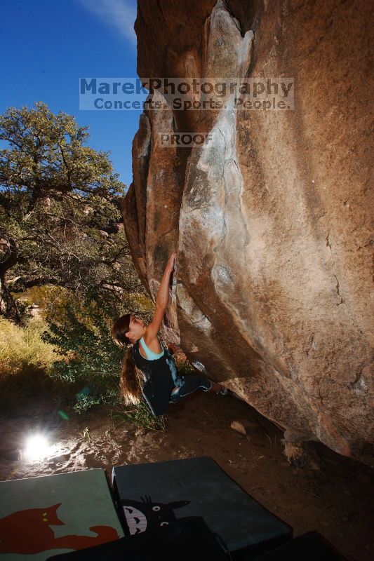

Filename: SRM_20161120_1243370.jpg
Aperture: f/8.0
Shutter Speed: 1/250
Body: Canon EOS-1D Mark II
Lens: Canon EF 16-35mm f/2.8 L