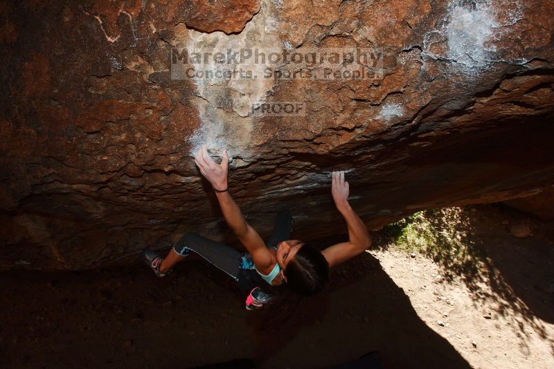 

Filename: SRM_20161120_1303550.jpg
Aperture: f/8.0
Shutter Speed: 1/250
Body: Canon EOS-1D Mark II
Lens: Canon EF 16-35mm f/2.8 L