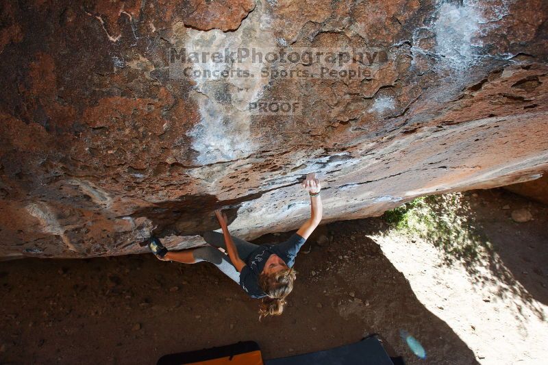

Filename: SRM_20161120_1304220.jpg
Aperture: f/8.0
Shutter Speed: 1/250
Body: Canon EOS-1D Mark II
Lens: Canon EF 16-35mm f/2.8 L