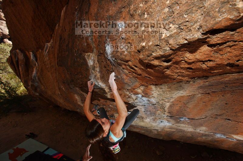 

Filename: SRM_20161120_1308570.jpg
Aperture: f/8.0
Shutter Speed: 1/250
Body: Canon EOS-1D Mark II
Lens: Canon EF 16-35mm f/2.8 L