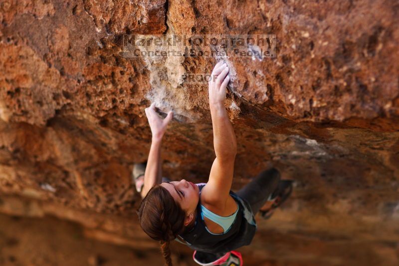 

Filename: SRM_20161120_1345450.jpg
Aperture: f/2.0
Shutter Speed: 1/800
Body: Canon EOS-1D Mark II
Lens: Canon EF 85mm f/1.2 L II