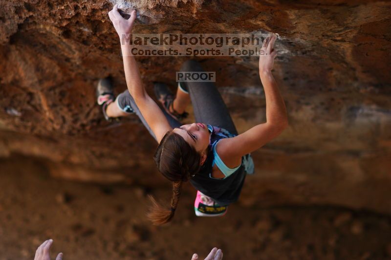 

Filename: SRM_20161120_1356000.jpg
Aperture: f/1.6
Shutter Speed: 1/800
Body: Canon EOS-1D Mark II
Lens: Canon EF 85mm f/1.2 L II