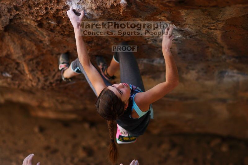 

Filename: SRM_20161120_1356001.jpg
Aperture: f/1.6
Shutter Speed: 1/800
Body: Canon EOS-1D Mark II
Lens: Canon EF 85mm f/1.2 L II