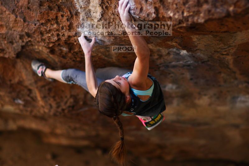 

Filename: SRM_20161120_1356015.jpg
Aperture: f/1.6
Shutter Speed: 1/800
Body: Canon EOS-1D Mark II
Lens: Canon EF 85mm f/1.2 L II