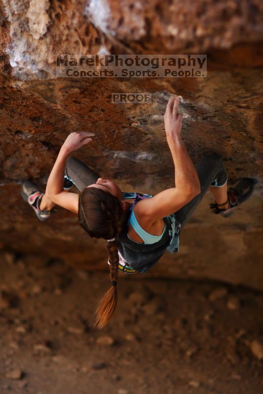 

Filename: SRM_20161120_1359200.jpg
Aperture: f/1.6
Shutter Speed: 1/800
Body: Canon EOS-1D Mark II
Lens: Canon EF 85mm f/1.2 L II
