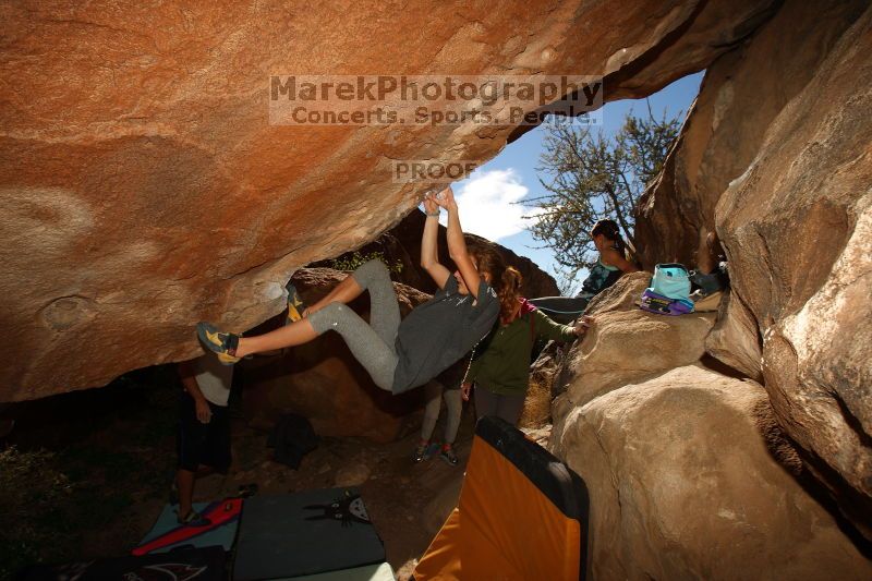 

Filename: SRM_20161120_1451100.jpg
Aperture: f/8.0
Shutter Speed: 1/250
Body: Canon EOS-1D Mark II
Lens: Canon EF 16-35mm f/2.8 L