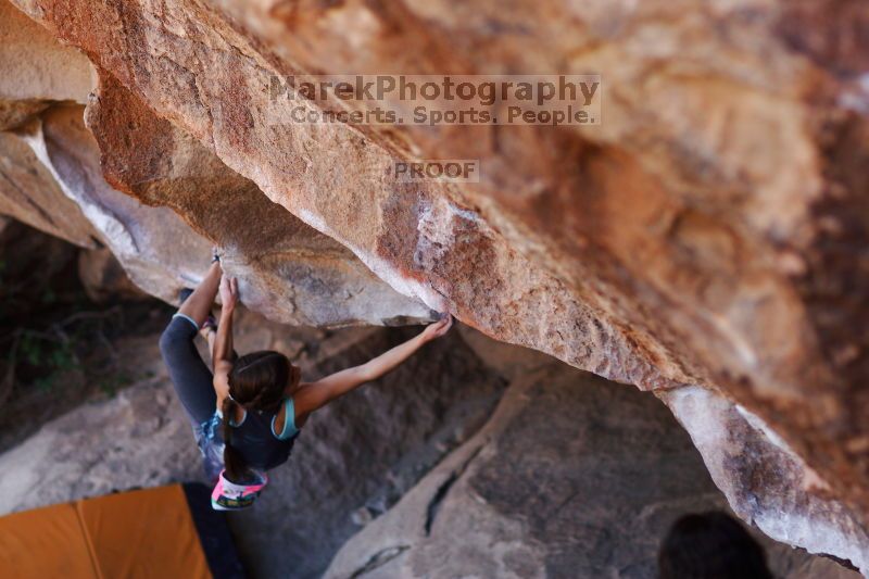 

Filename: SRM_20161120_1701050.jpg
Aperture: f/2.0
Shutter Speed: 1/500
Body: Canon EOS-1D Mark II
Lens: Canon EF 85mm f/1.2 L II