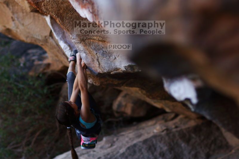 

Filename: SRM_20161120_1703430.jpg
Aperture: f/2.0
Shutter Speed: 1/500
Body: Canon EOS-1D Mark II
Lens: Canon EF 85mm f/1.2 L II