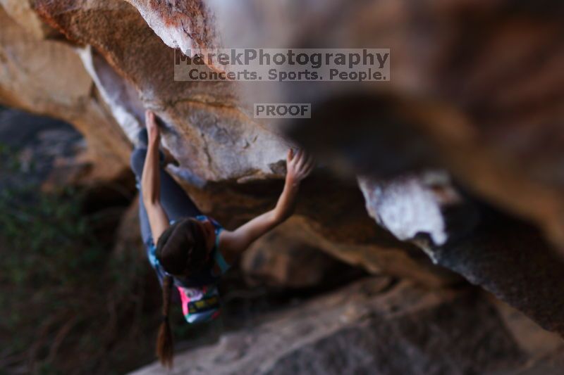 

Filename: SRM_20161120_1703461.jpg
Aperture: f/2.0
Shutter Speed: 1/500
Body: Canon EOS-1D Mark II
Lens: Canon EF 85mm f/1.2 L II