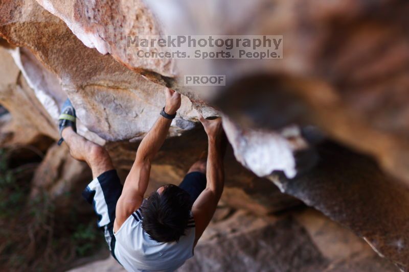 

Filename: SRM_20161120_1704270.jpg
Aperture: f/2.0
Shutter Speed: 1/320
Body: Canon EOS-1D Mark II
Lens: Canon EF 85mm f/1.2 L II