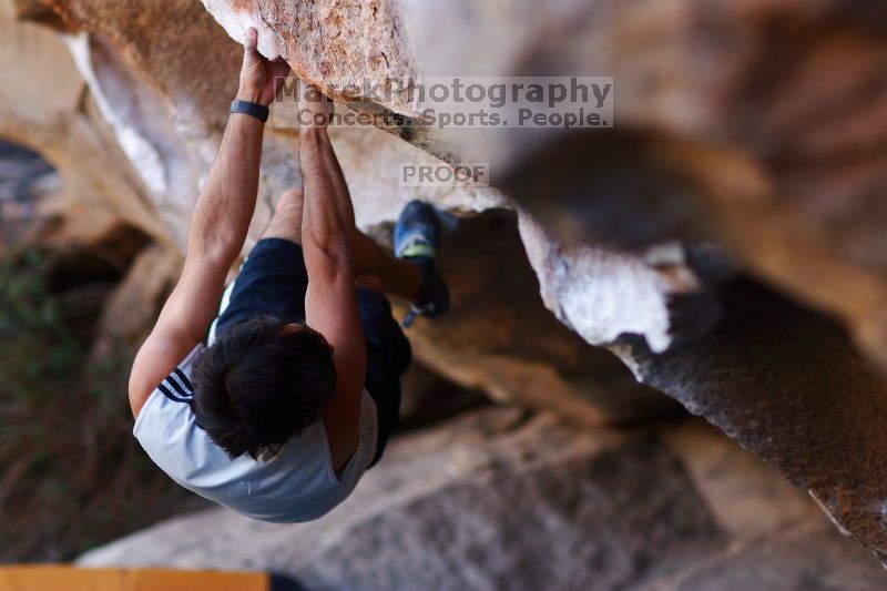 

Filename: SRM_20161120_1704410.jpg
Aperture: f/2.0
Shutter Speed: 1/320
Body: Canon EOS-1D Mark II
Lens: Canon EF 85mm f/1.2 L II
