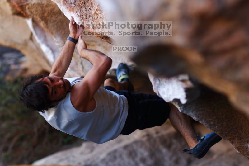 

Filename: SRM_20161120_1704430.jpg
Aperture: f/2.0
Shutter Speed: 1/320
Body: Canon EOS-1D Mark II
Lens: Canon EF 85mm f/1.2 L II
