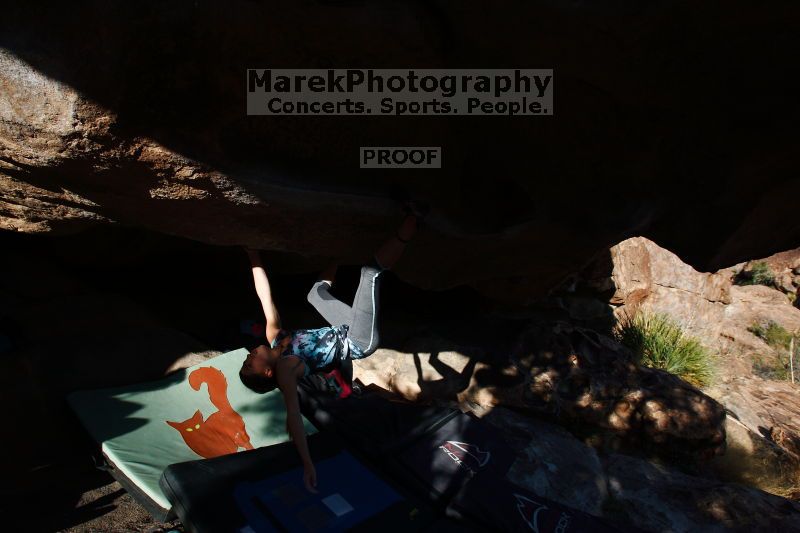 

Filename: SRM_20161120_1748361.jpg
Aperture: f/8.0
Shutter Speed: 1/250
Body: Canon EOS-1D Mark II
Lens: Canon EF 16-35mm f/2.8 L