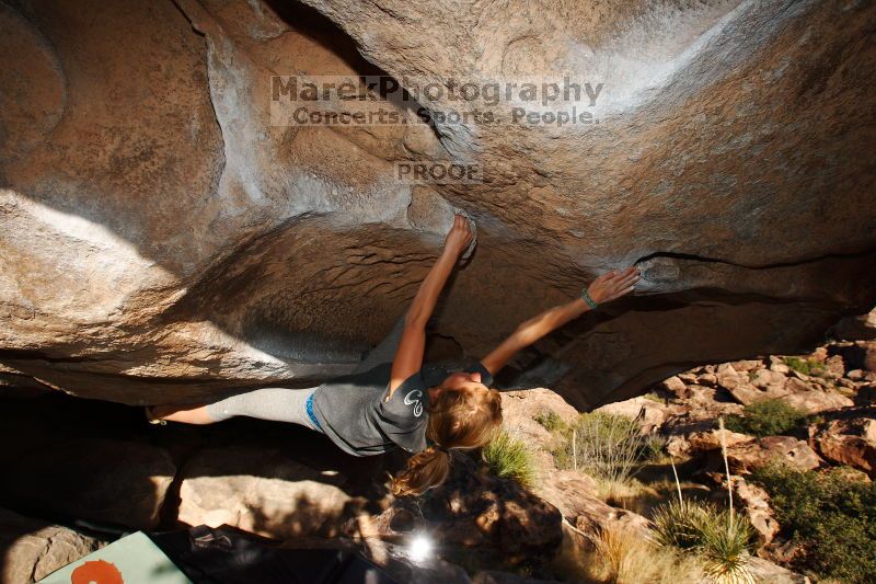 

Filename: SRM_20161120_1754020.jpg
Aperture: f/8.0
Shutter Speed: 1/250
Body: Canon EOS-1D Mark II
Lens: Canon EF 16-35mm f/2.8 L
