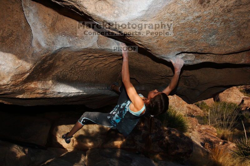 

Filename: SRM_20161120_1801220.jpg
Aperture: f/8.0
Shutter Speed: 1/250
Body: Canon EOS-1D Mark II
Lens: Canon EF 16-35mm f/2.8 L