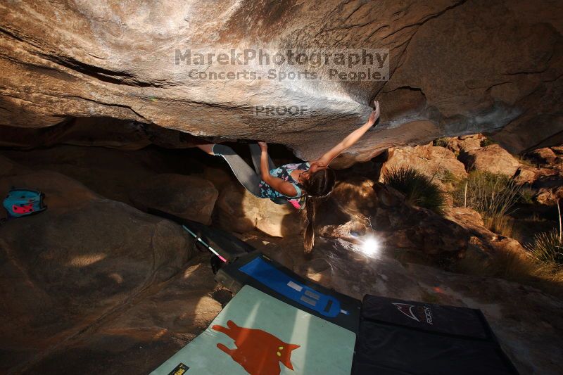 

Filename: SRM_20161120_1812200.jpg
Aperture: f/8.0
Shutter Speed: 1/250
Body: Canon EOS-1D Mark II
Lens: Canon EF 16-35mm f/2.8 L