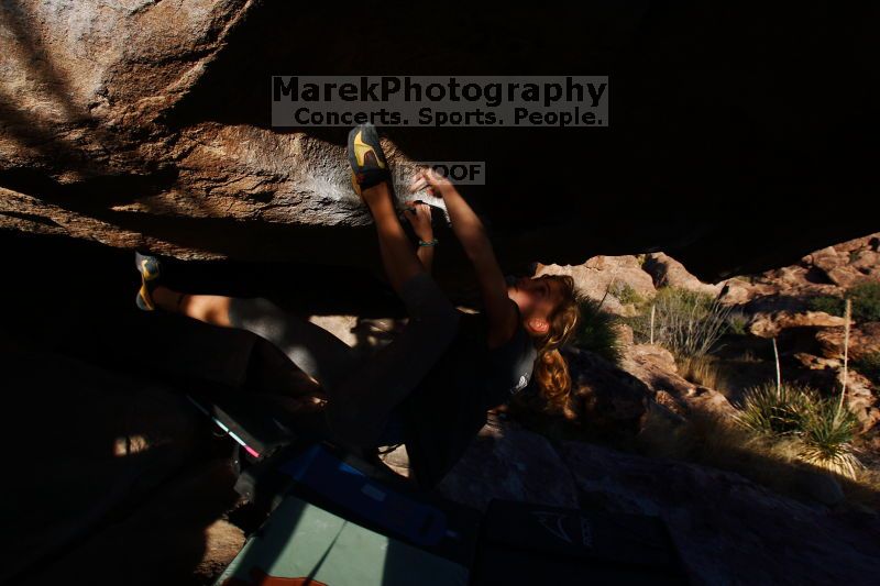 

Filename: SRM_20161120_1814170.jpg
Aperture: f/8.0
Shutter Speed: 1/250
Body: Canon EOS-1D Mark II
Lens: Canon EF 16-35mm f/2.8 L