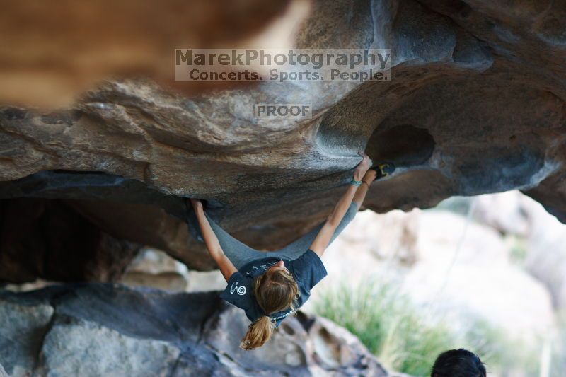

Filename: SRM_20161120_1839511.jpg
Aperture: f/1.8
Shutter Speed: 1/320
Body: Canon EOS-1D Mark II
Lens: Canon EF 85mm f/1.2 L II