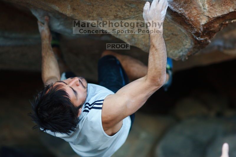 

Filename: SRM_20161120_1844560.jpg
Aperture: f/2.0
Shutter Speed: 1/640
Body: Canon EOS-1D Mark II
Lens: Canon EF 85mm f/1.2 L II
