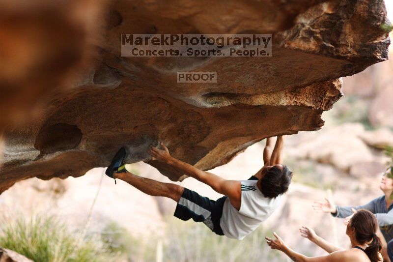 

Filename: SRM_20161120_1850341.jpg
Aperture: f/2.0
Shutter Speed: 1/640
Body: Canon EOS-1D Mark II
Lens: Canon EF 85mm f/1.2 L II