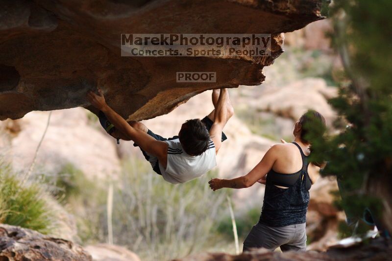 

Filename: SRM_20161120_1852350.jpg
Aperture: f/2.0
Shutter Speed: 1/800
Body: Canon EOS-1D Mark II
Lens: Canon EF 85mm f/1.2 L II