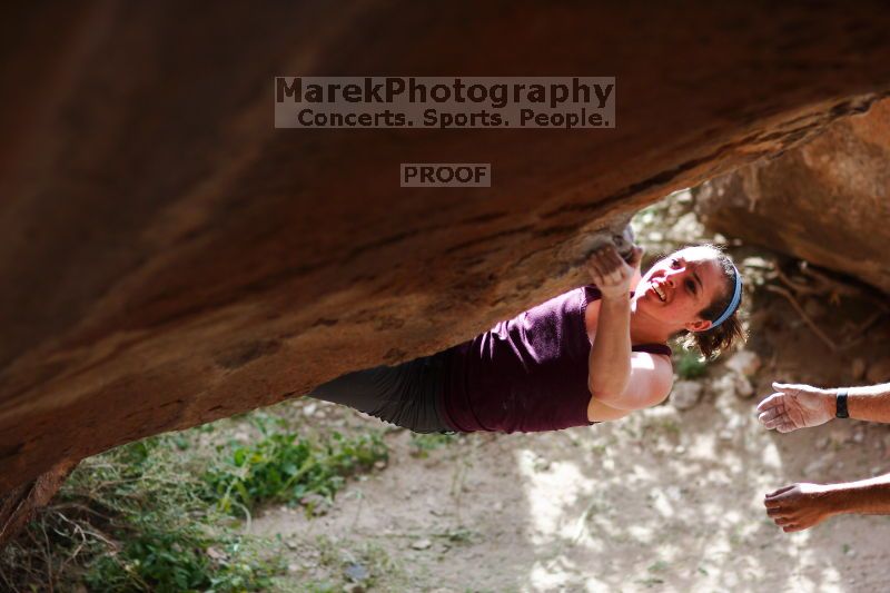 

Filename: SRM_20161124_1224170.jpg
Aperture: f/2.0
Shutter Speed: 1/1600
Body: Canon EOS-1D Mark II
Lens: Canon EF 85mm f/1.2 L II