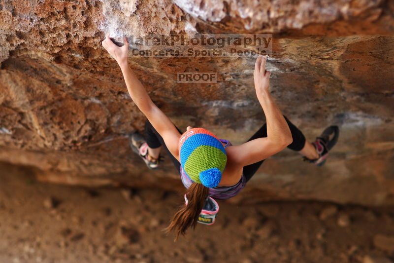 

Filename: SRM_20161124_1240331.jpg
Aperture: f/2.0
Shutter Speed: 1/800
Body: Canon EOS-1D Mark II
Lens: Canon EF 85mm f/1.2 L II